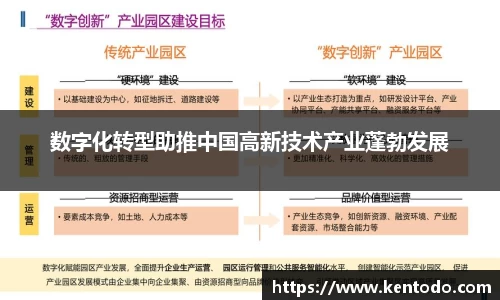 数字化转型助推中国高新技术产业蓬勃发展