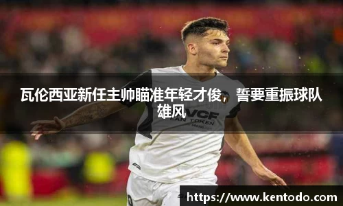 bsports官网入口
